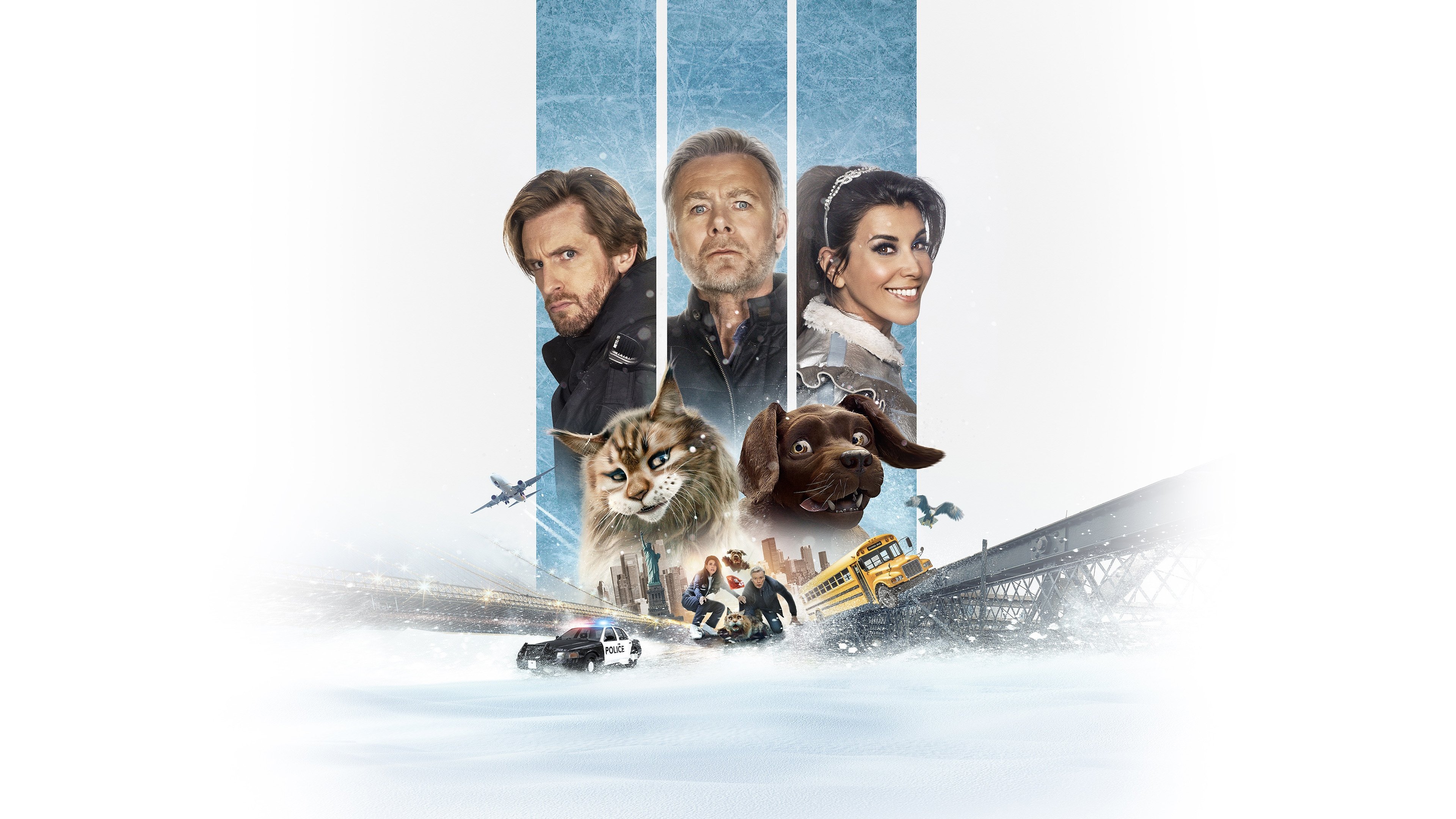 Cat and Dog Poster