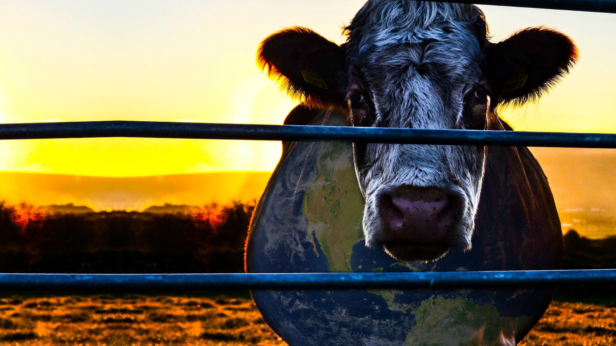 Cowspiracy: The Sustainability Secret Poster