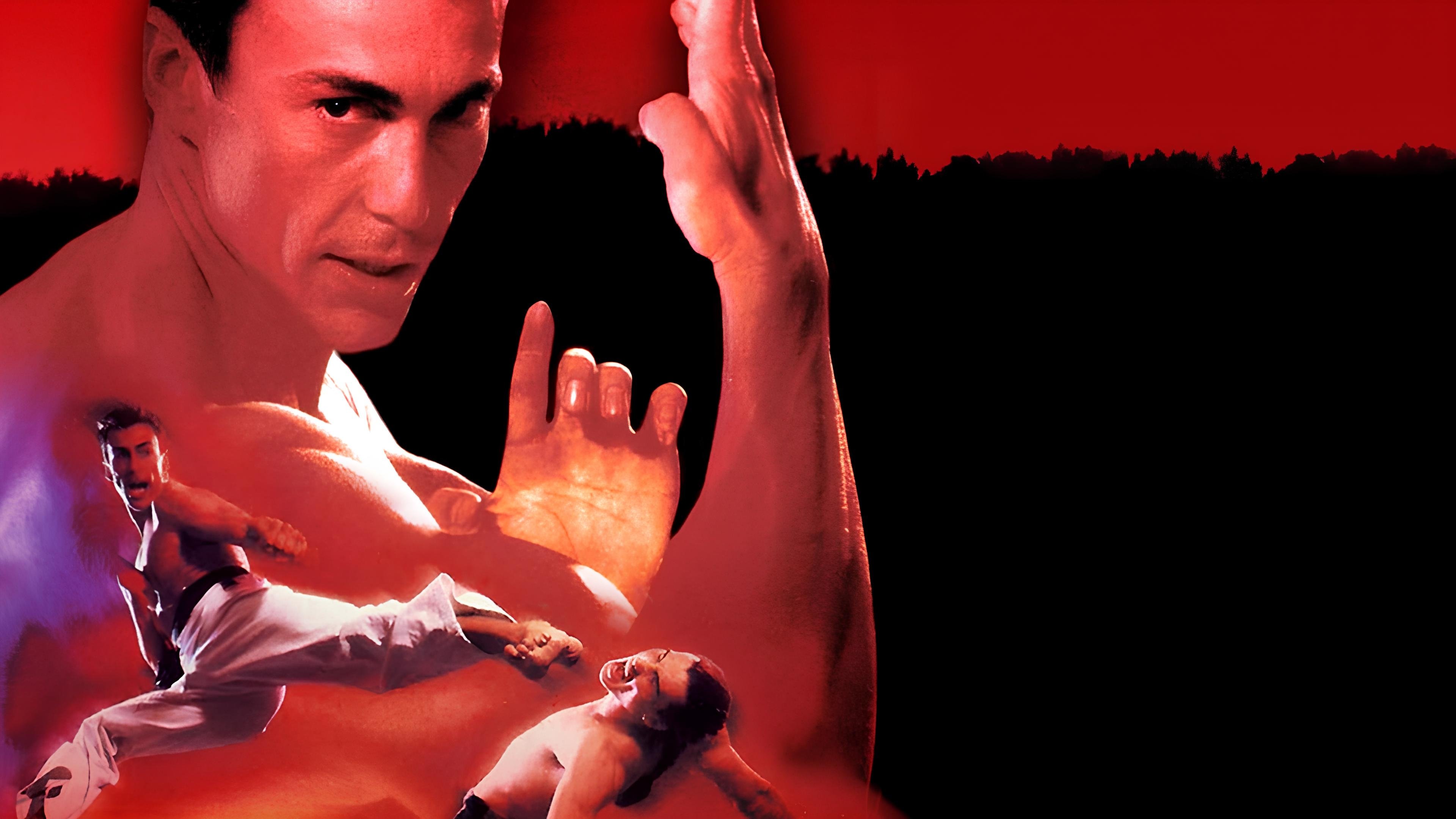 Bloodsport 2 Poster