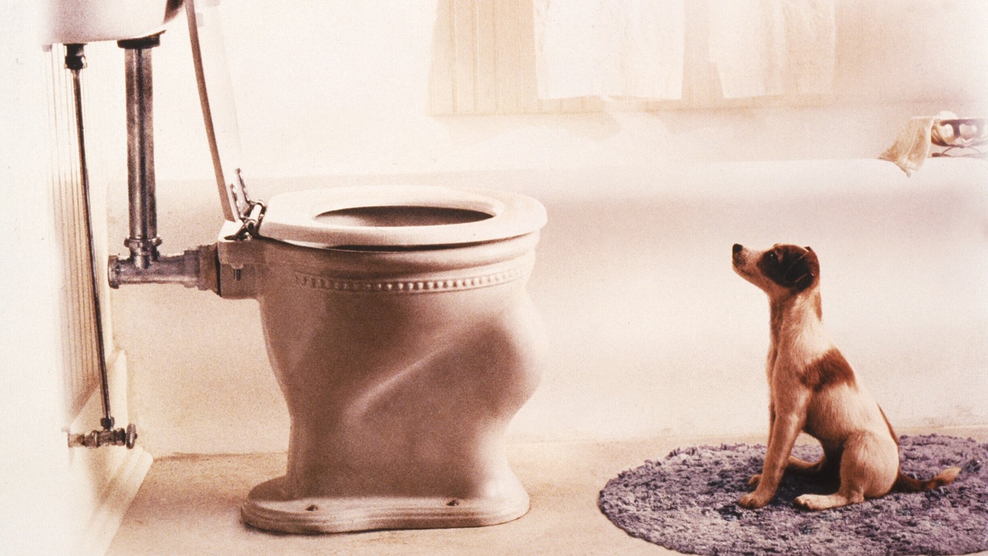 My Dog Skip Poster