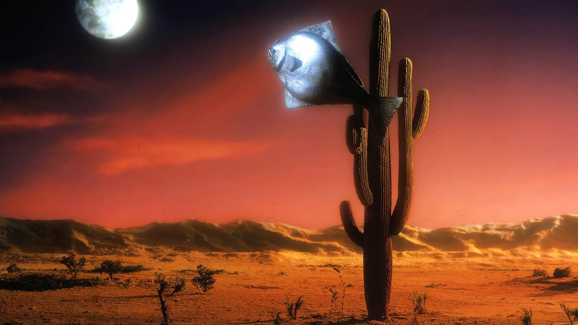 Arizona Dream Poster