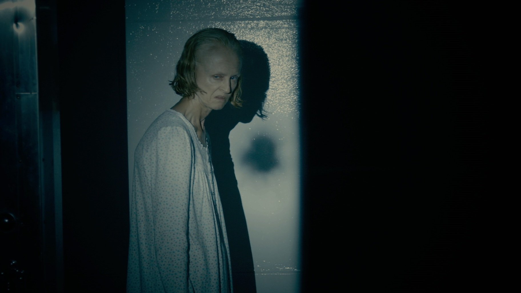 The Taking of Deborah Logan Poster