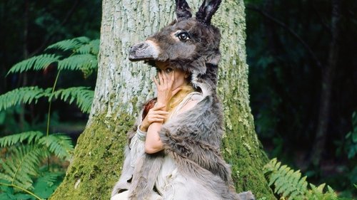 Donkey Skin Poster