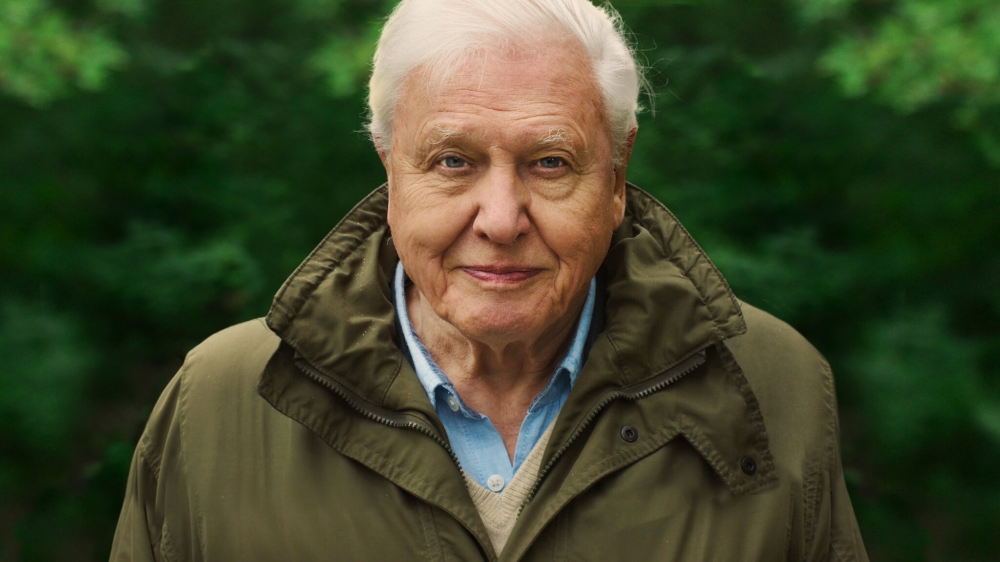 David Attenborough: A Life on Our Planet Poster