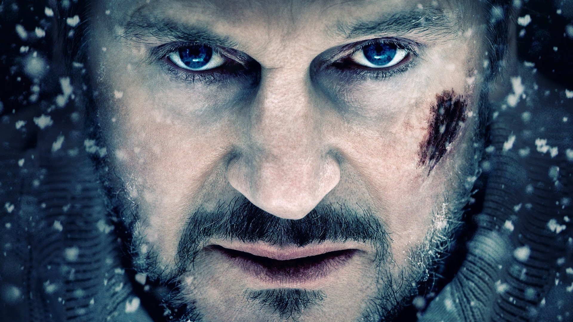 The Grey Poster