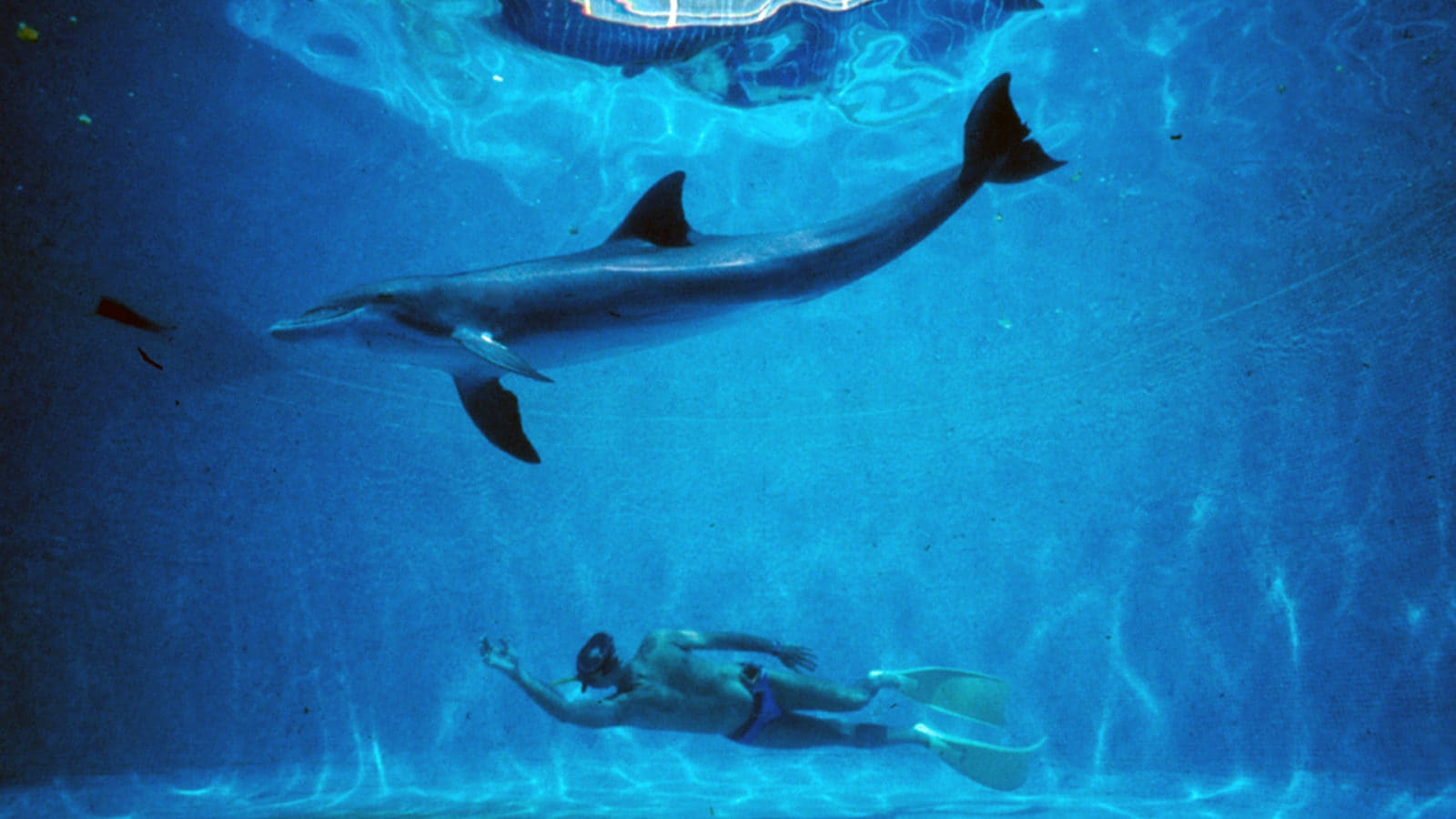 The Big Blue Poster
