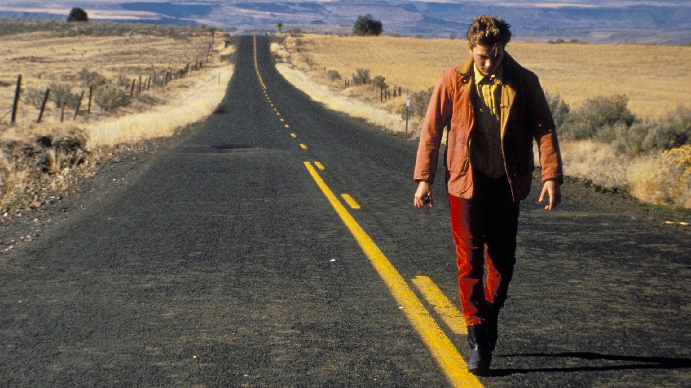 My Own Private Idaho Poster