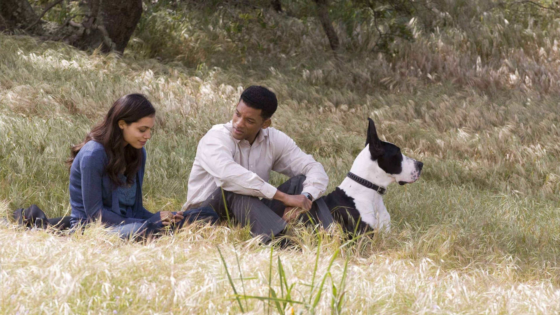 Seven Pounds Poster