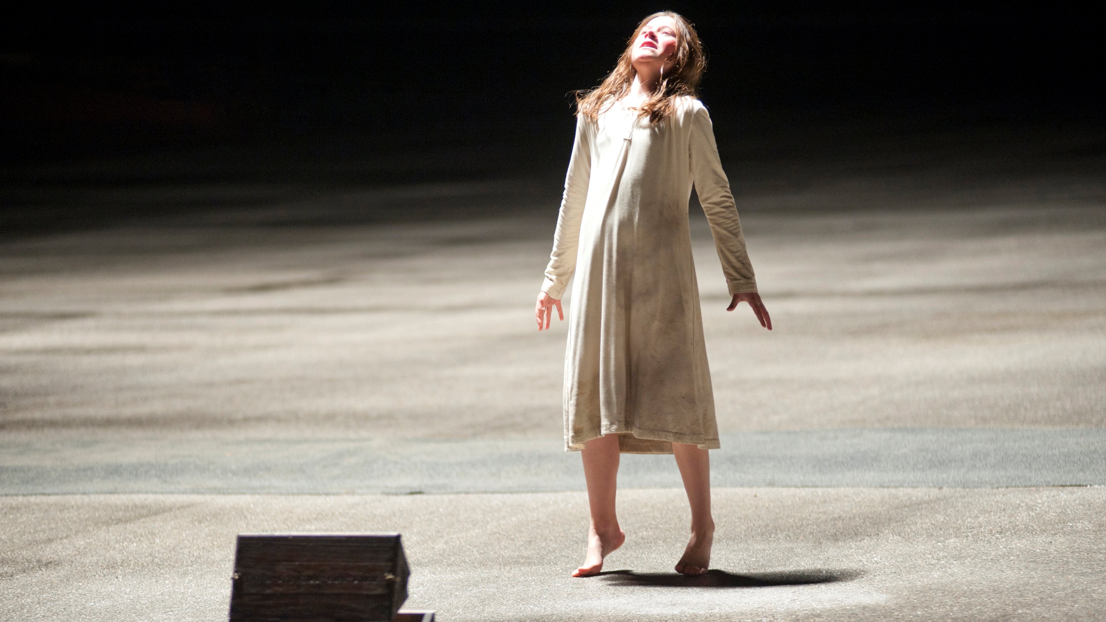The Possession Poster