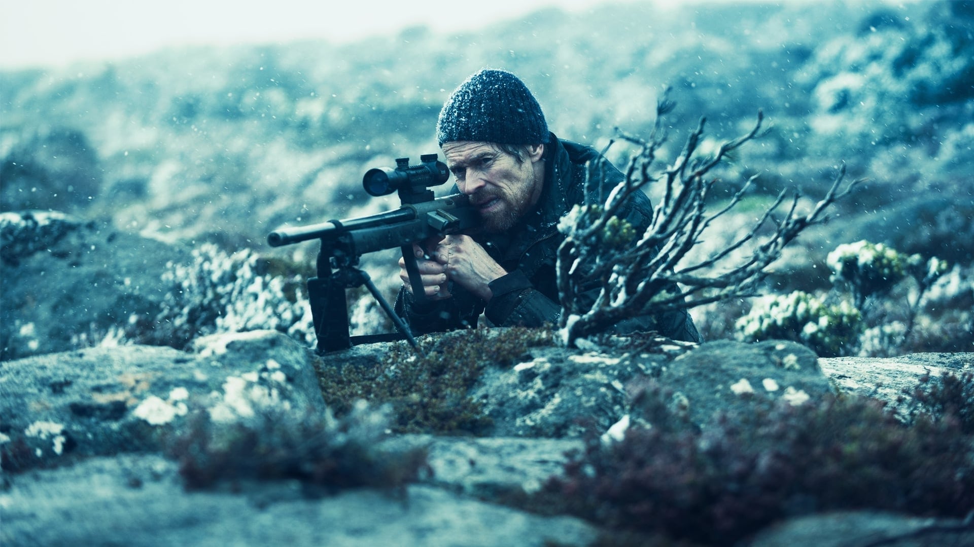 The Hunter Poster