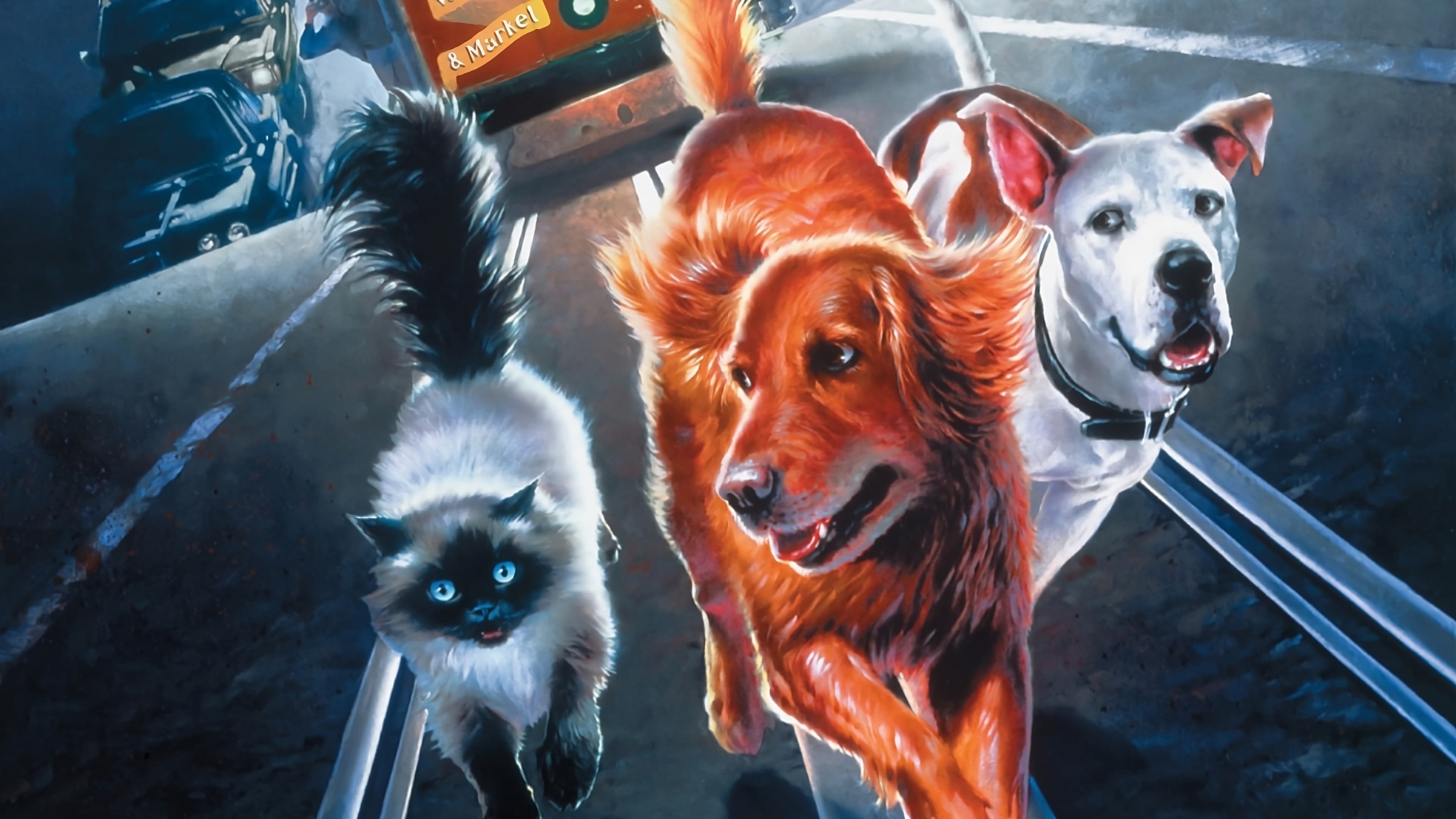 Homeward Bound II: Lost in San Francisco Poster