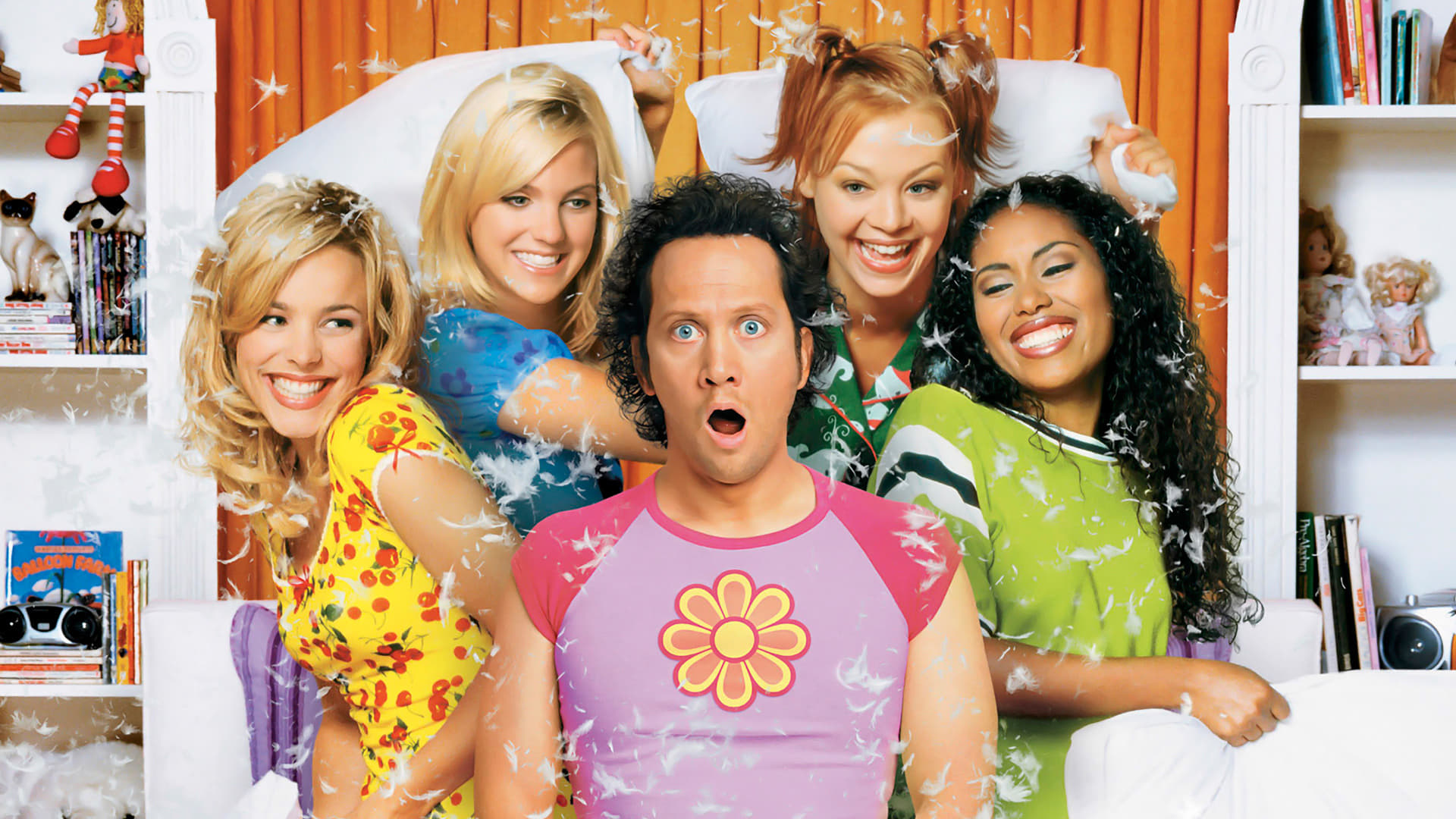 The Hot Chick Poster