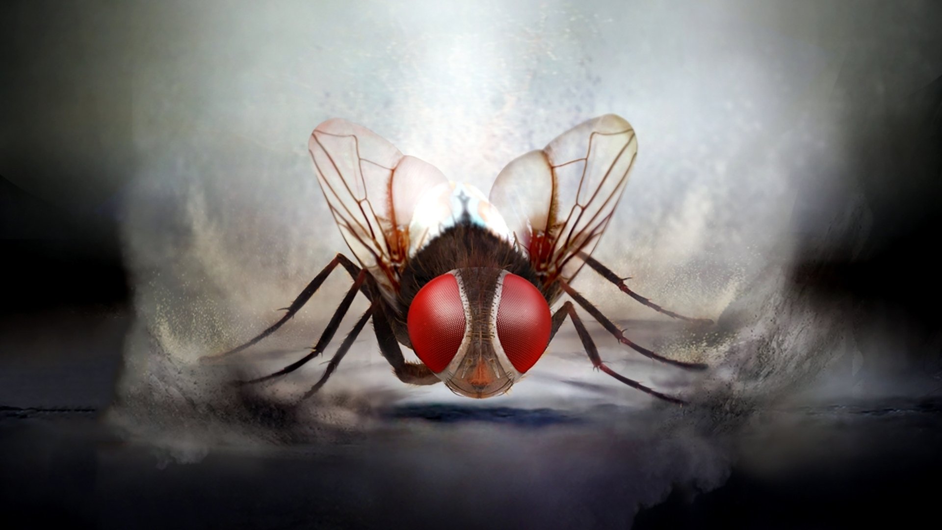 Eega Poster