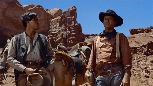 The Searchers Poster
