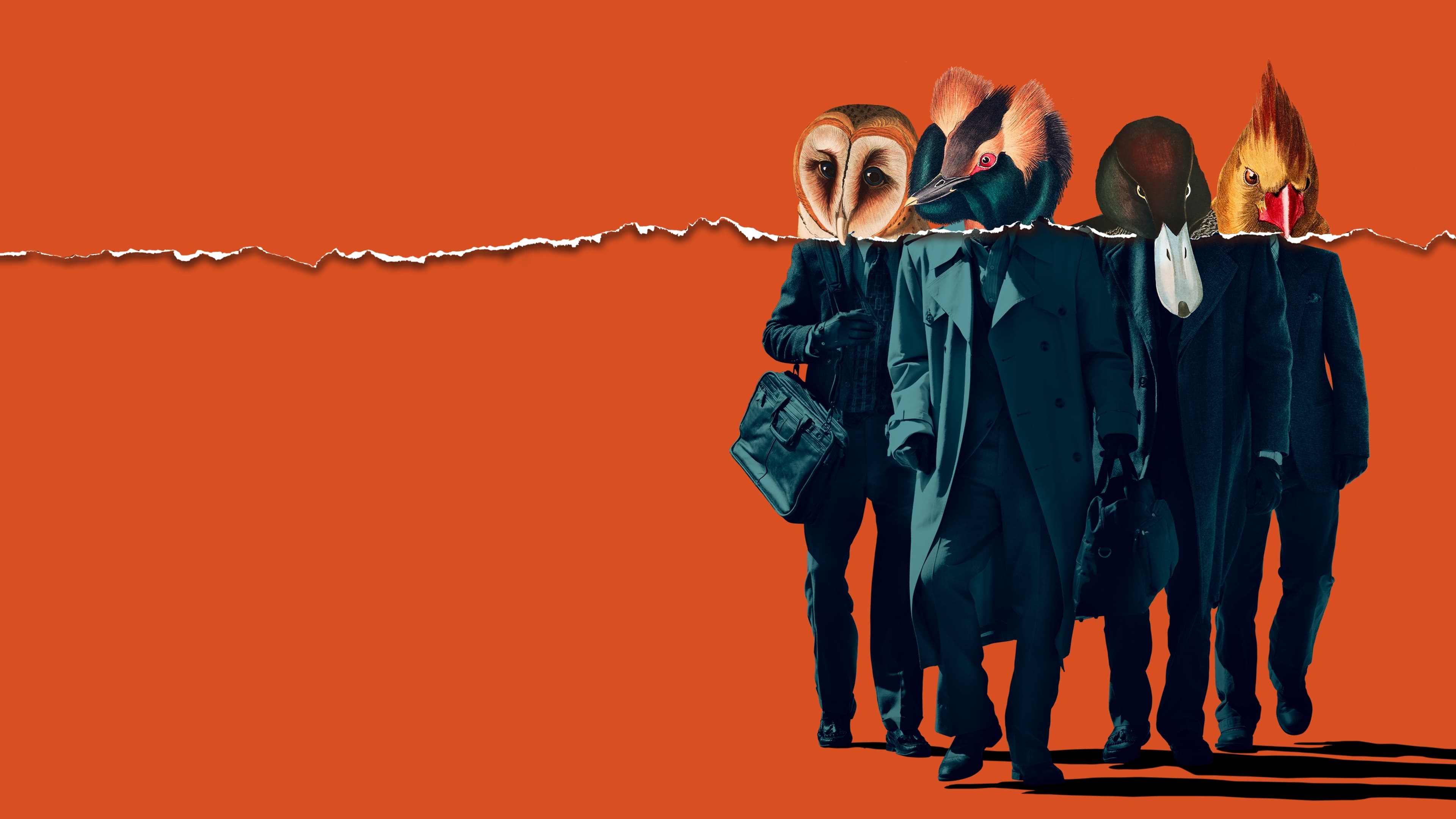 American Animals Poster