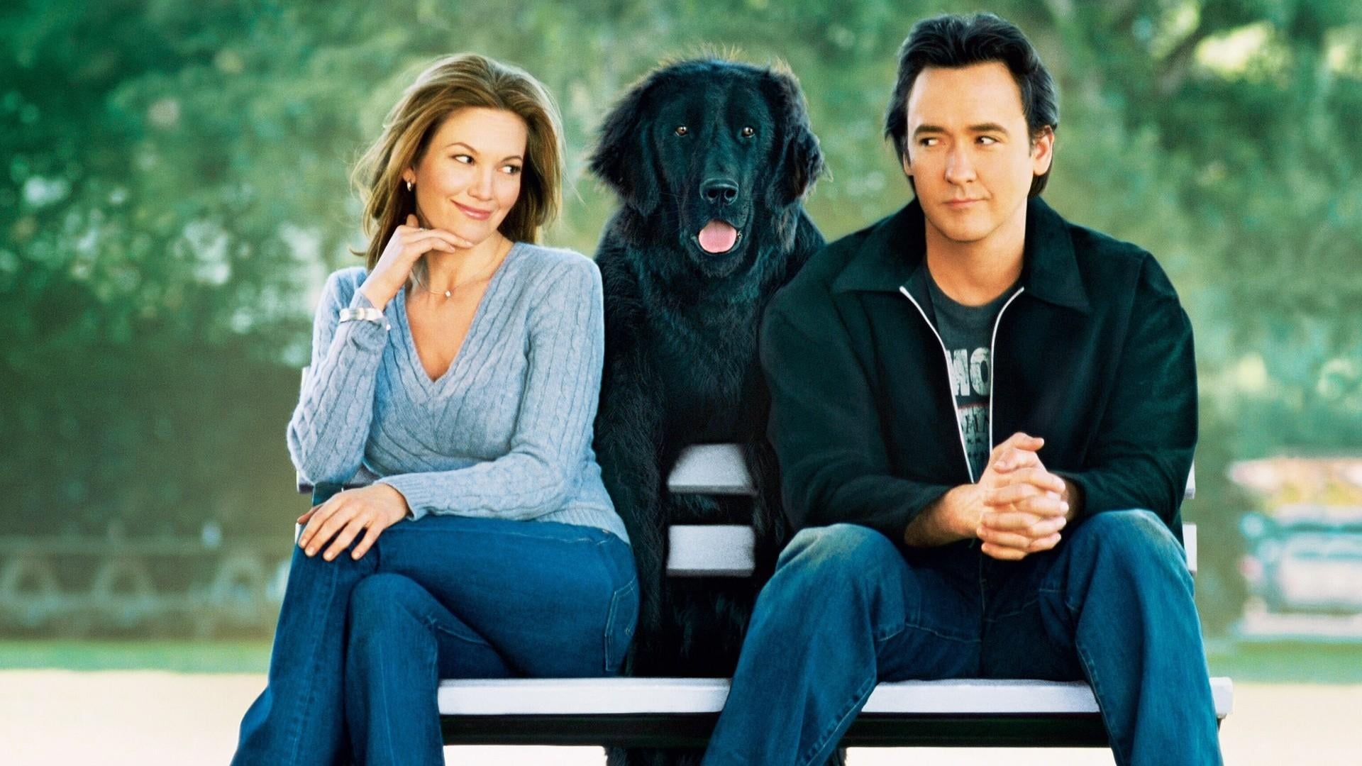 Must Love Dogs Poster