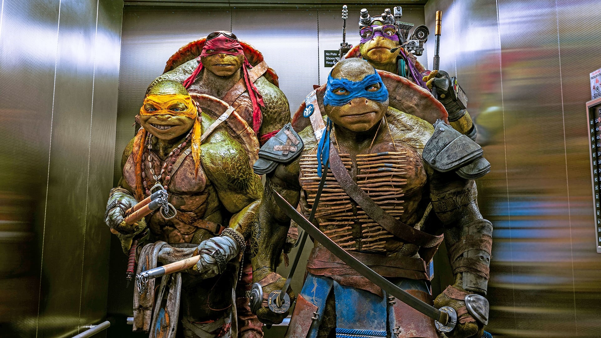 Teenage Mutant Ninja Turtles Poster
