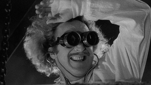 Young Frankenstein Poster