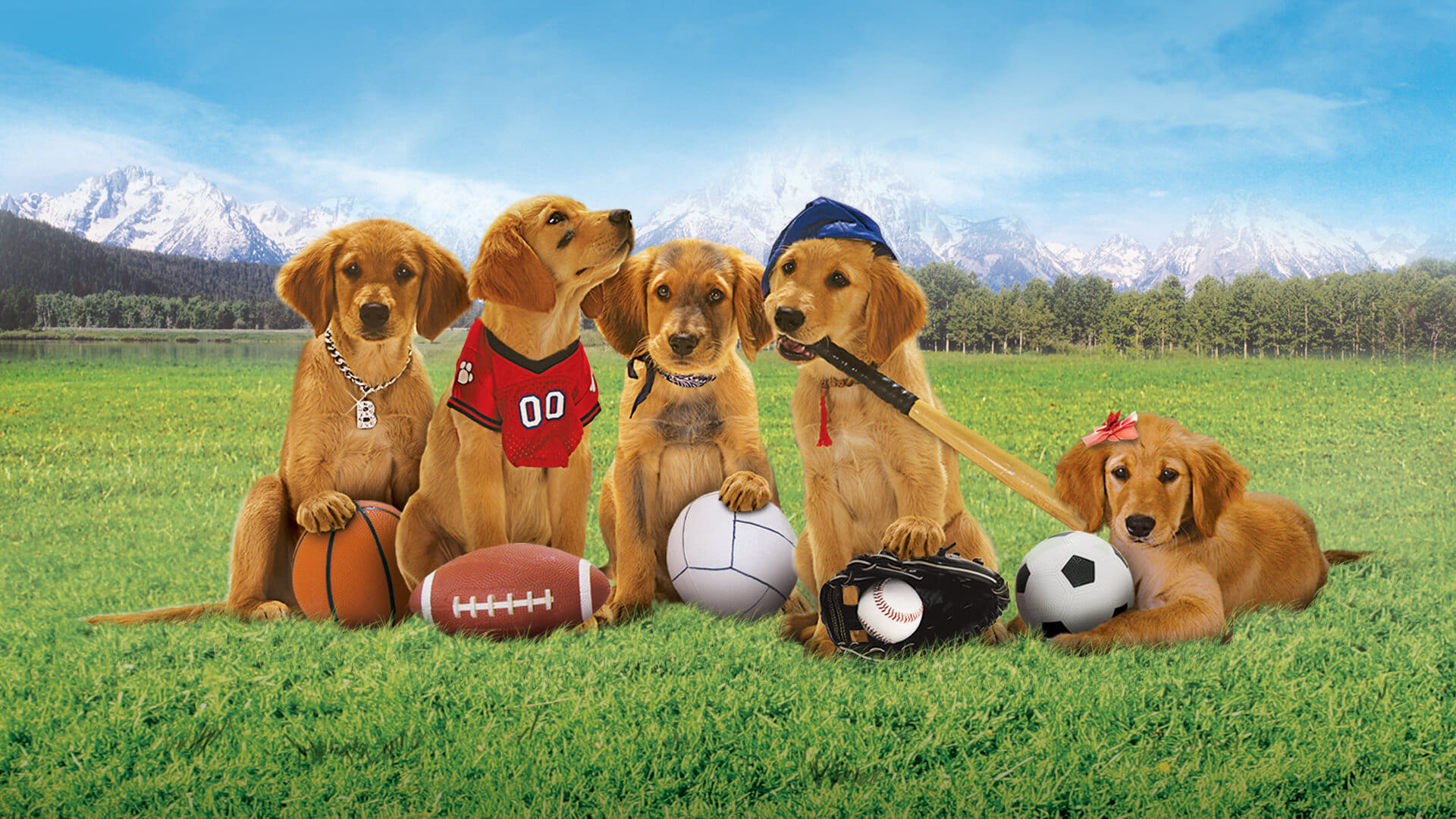 Air Buddies Poster