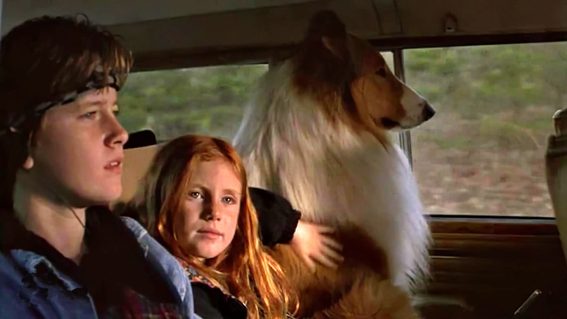 Lassie Poster