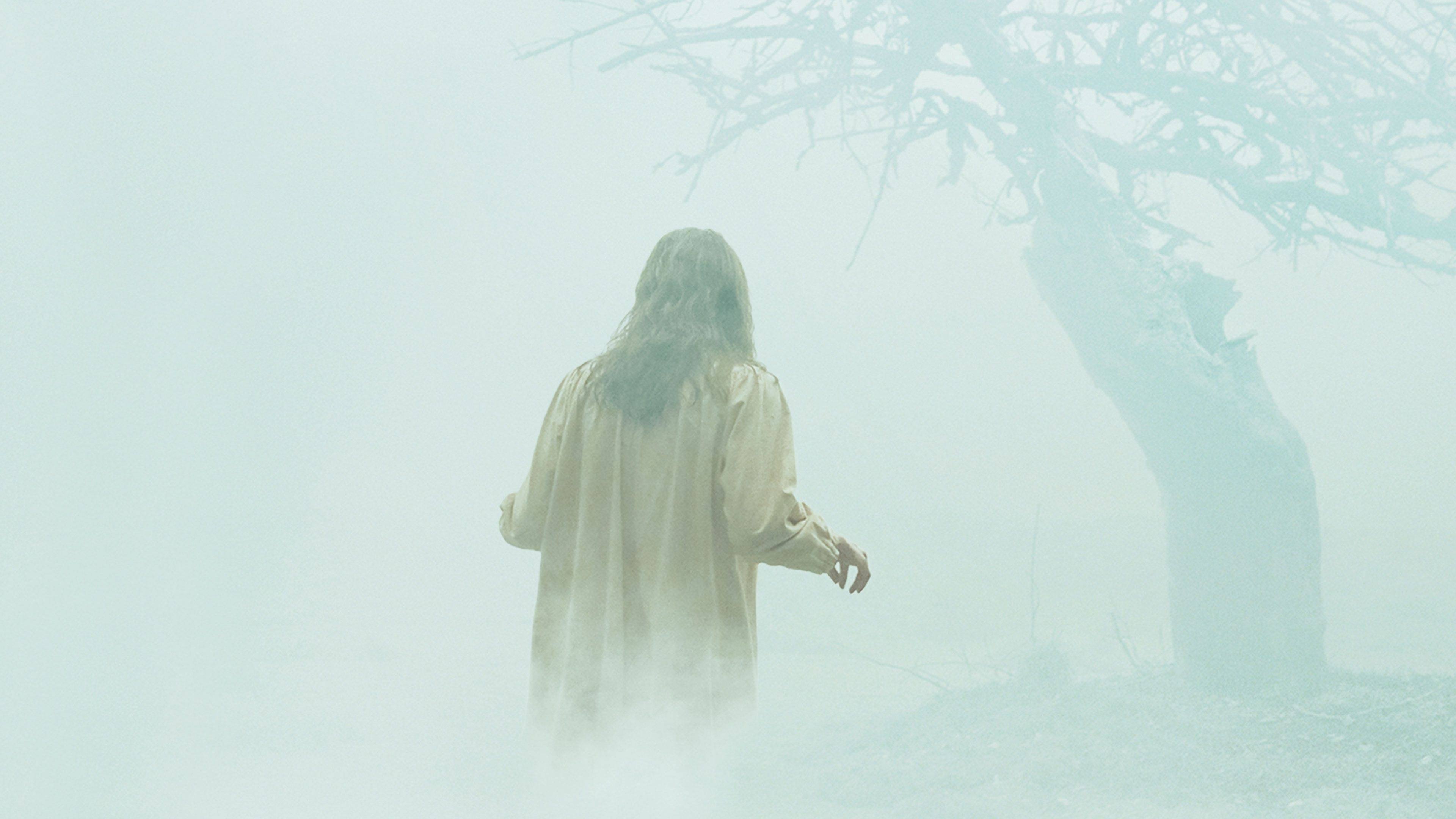 The Exorcism of Emily Rose Poster