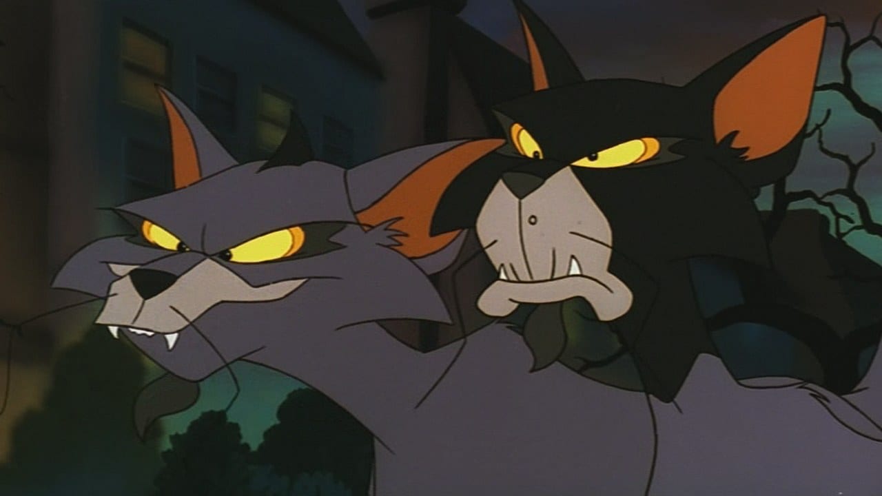 Felidae Poster