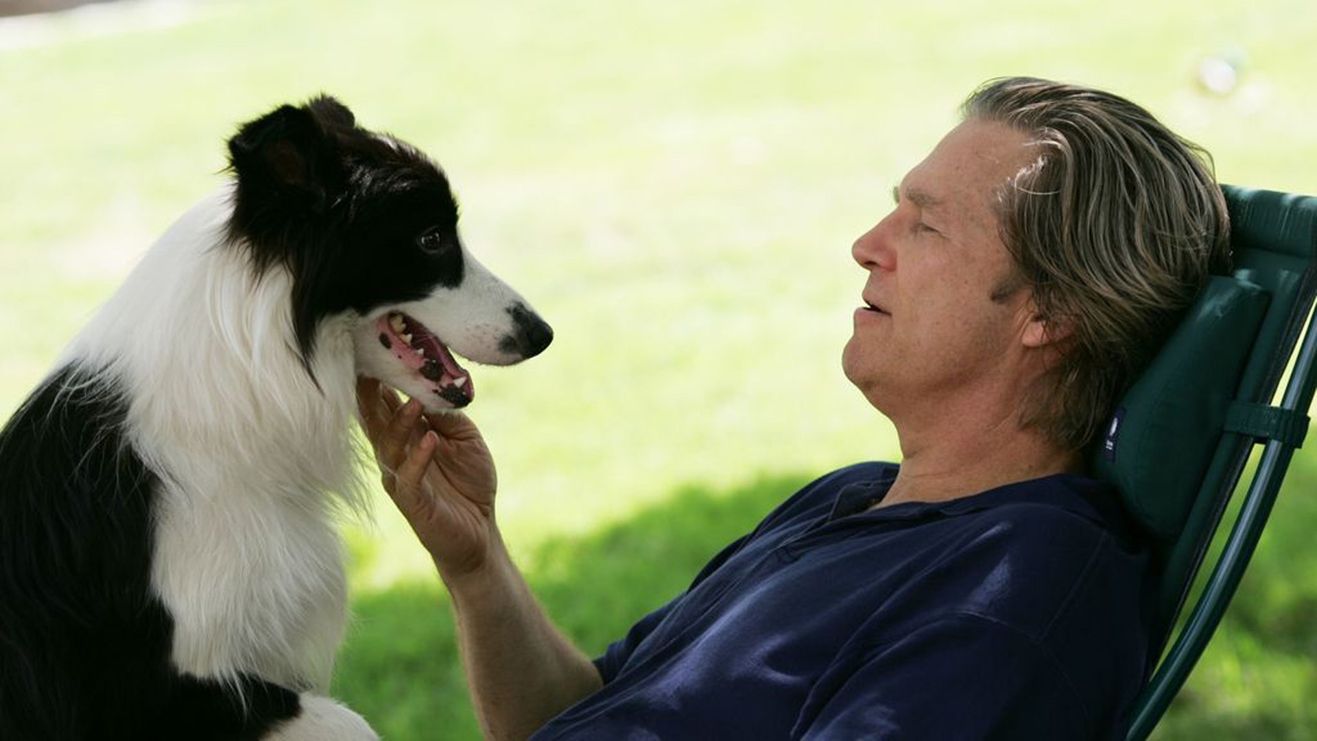 A Dog Year Poster