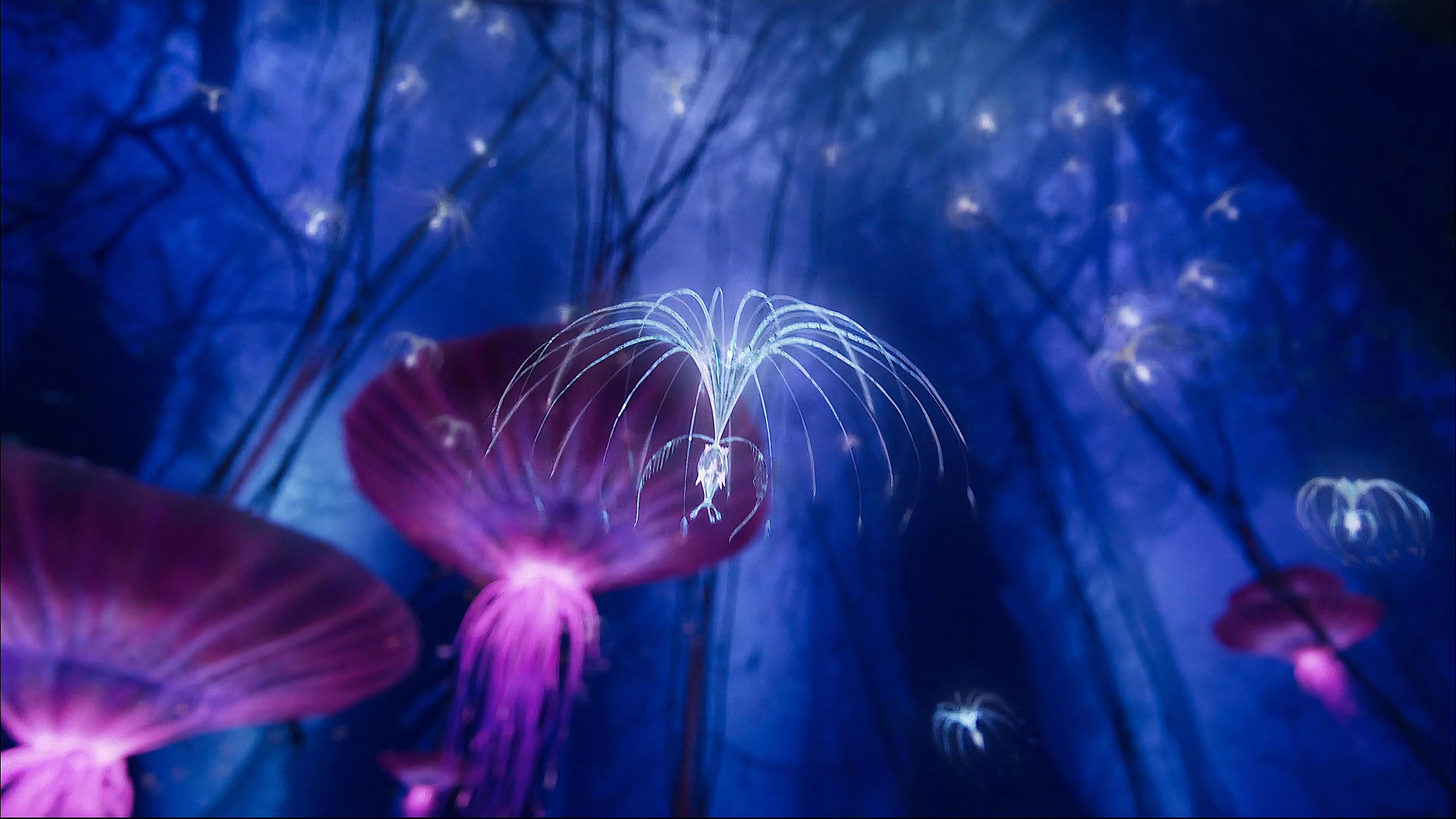 Avatar: Creating the World of Pandora Poster