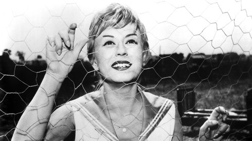 Nights of Cabiria Poster
