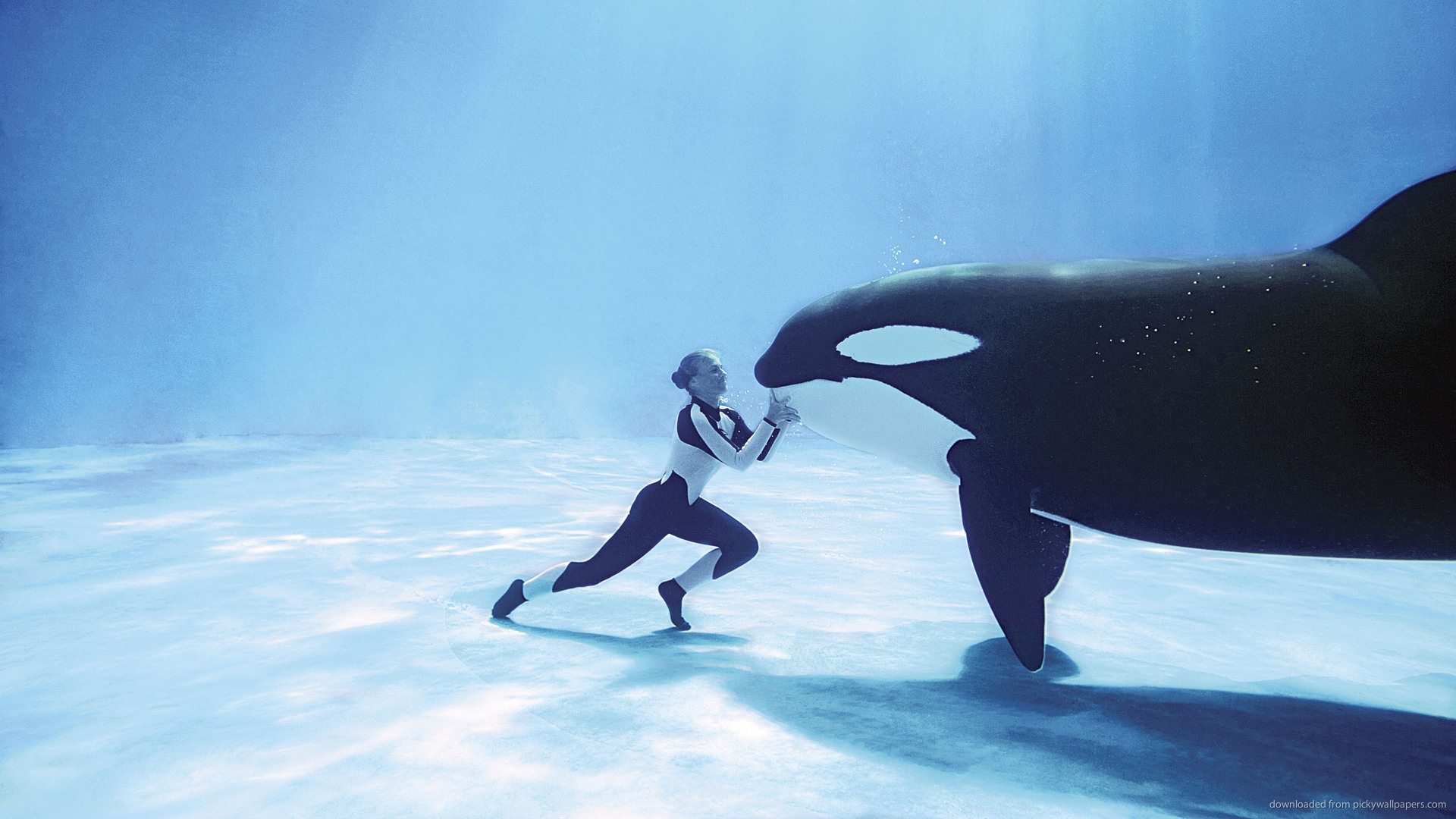 Blackfish Poster