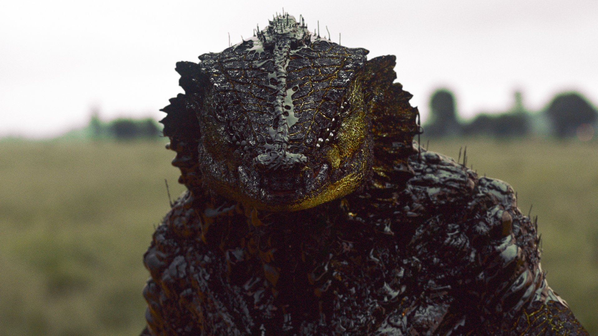 Oats Studios Poster