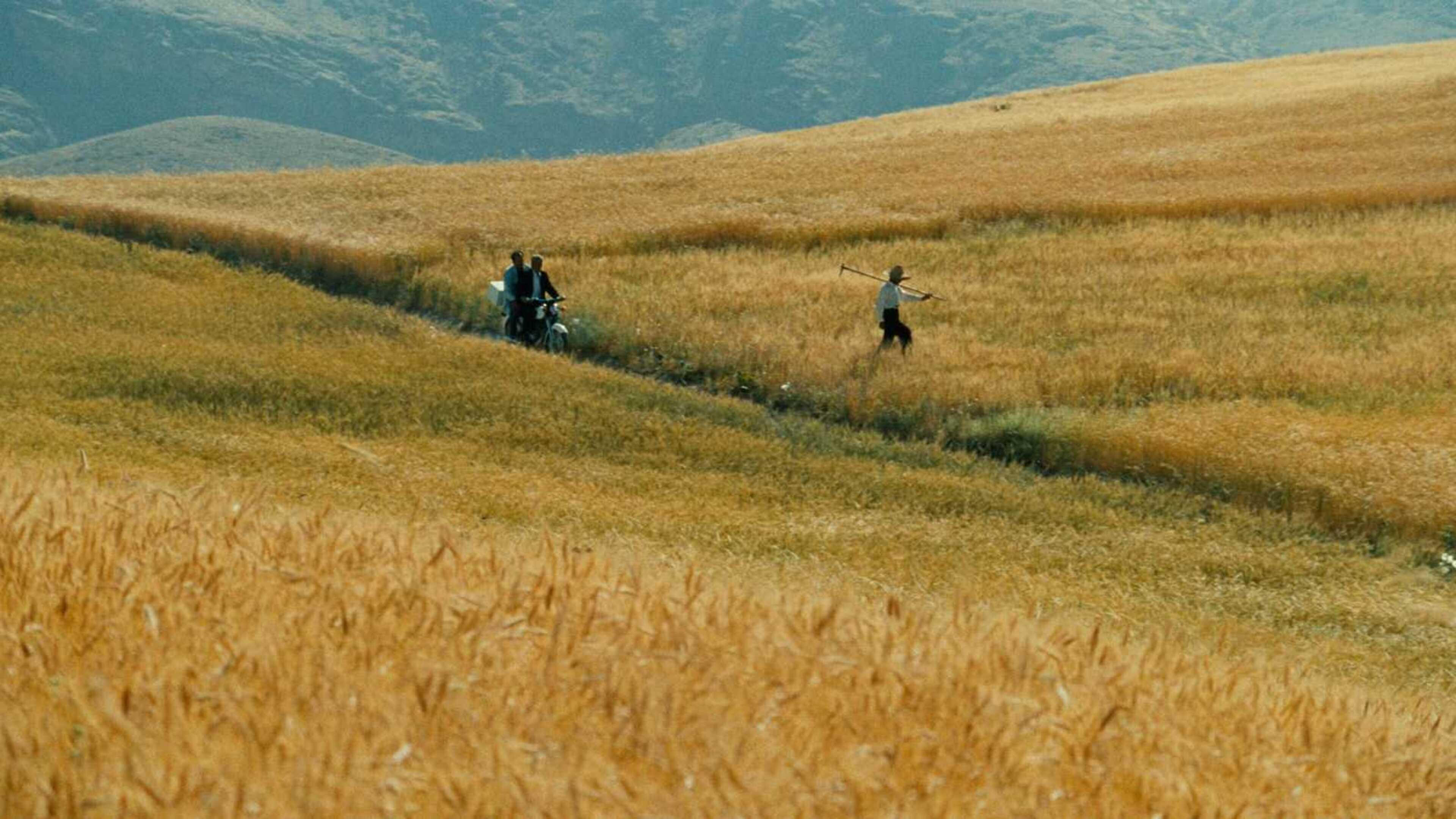 The Wind Will Carry Us Poster