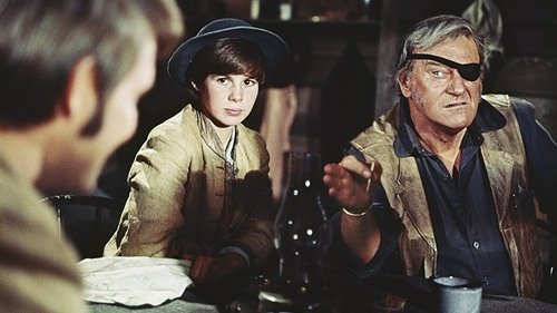 True Grit Poster