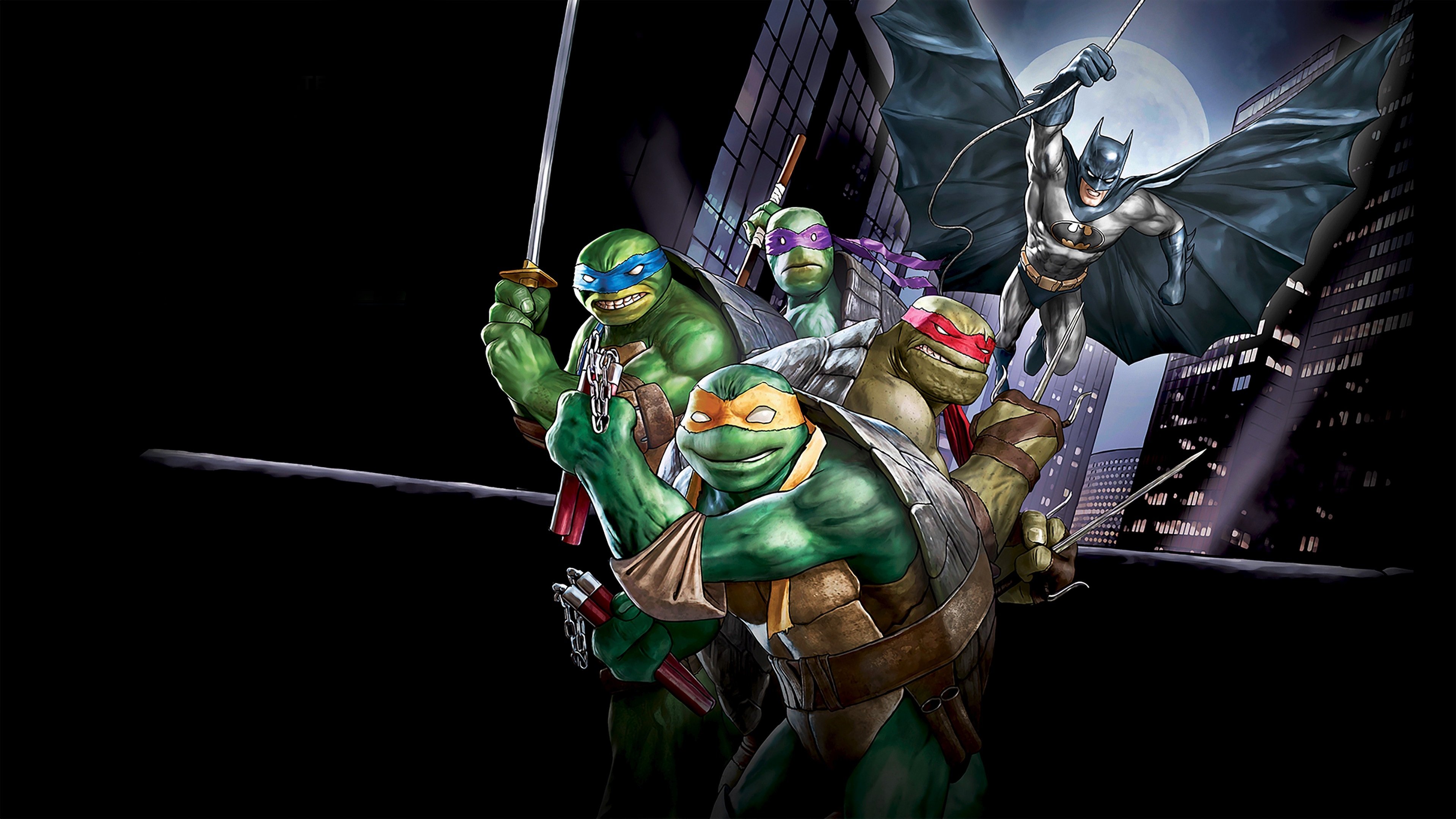 Batman vs Teenage Mutant Ninja Turtles Poster