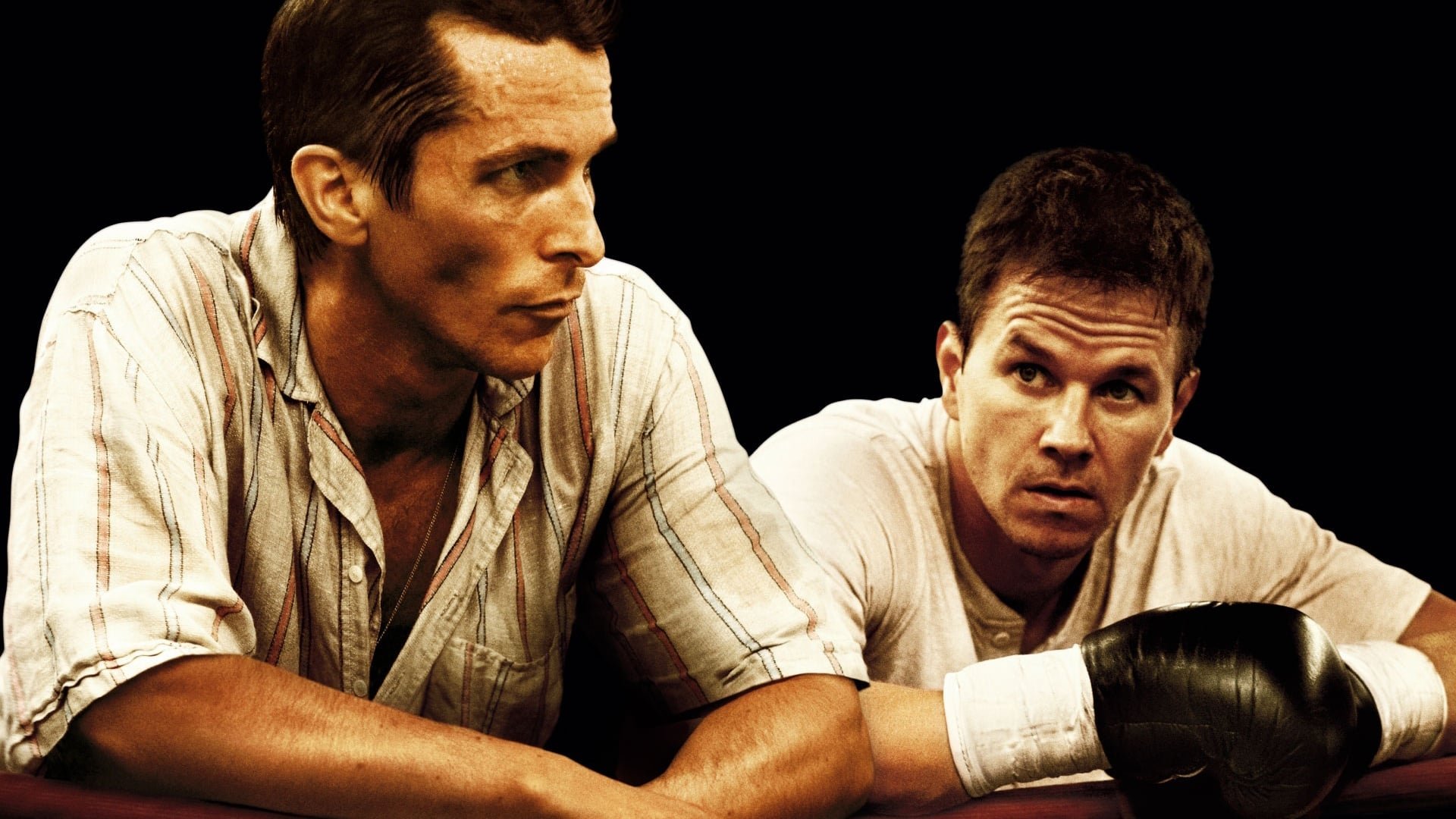 The Fighter Poster