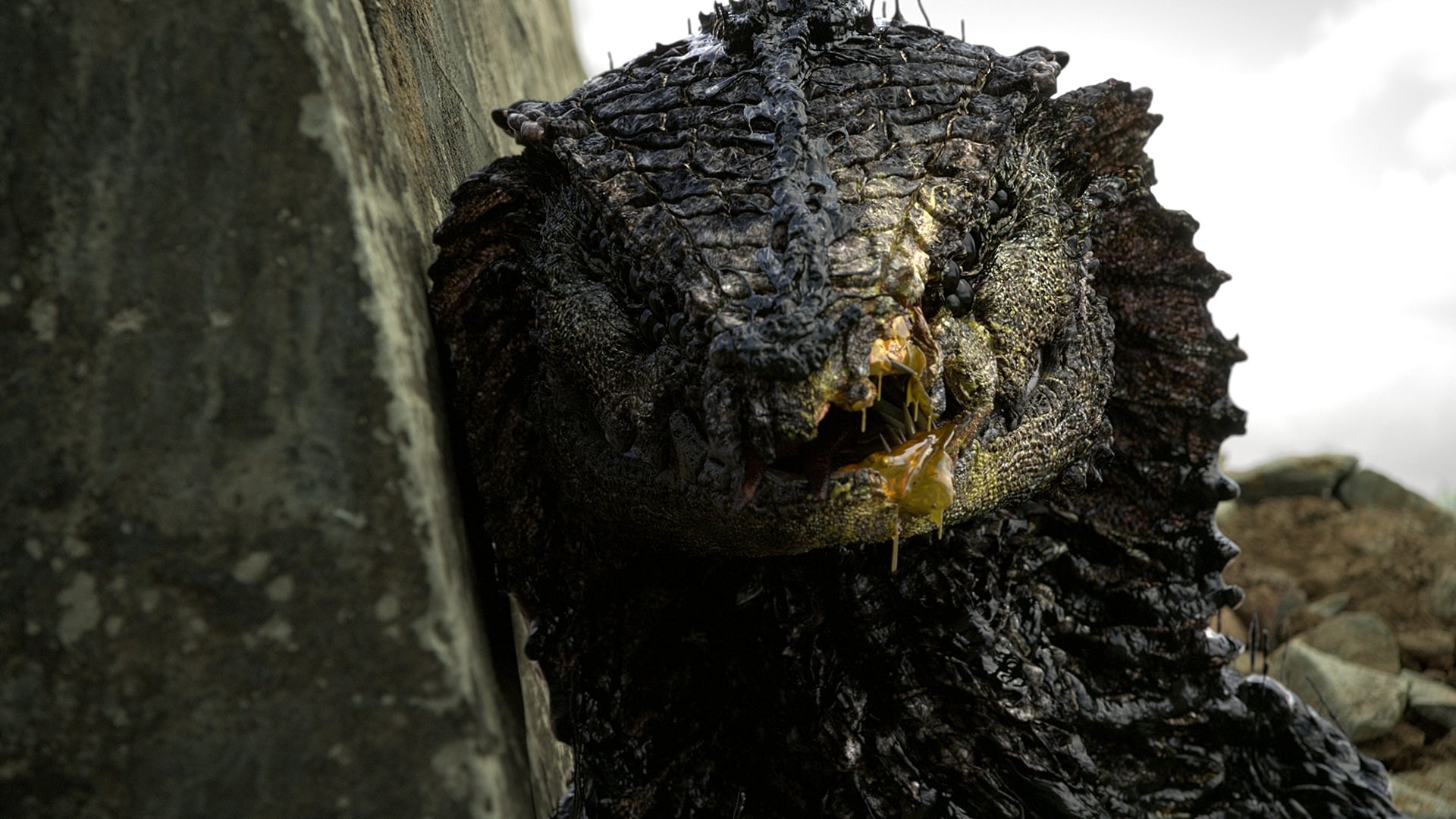 Rakka Poster