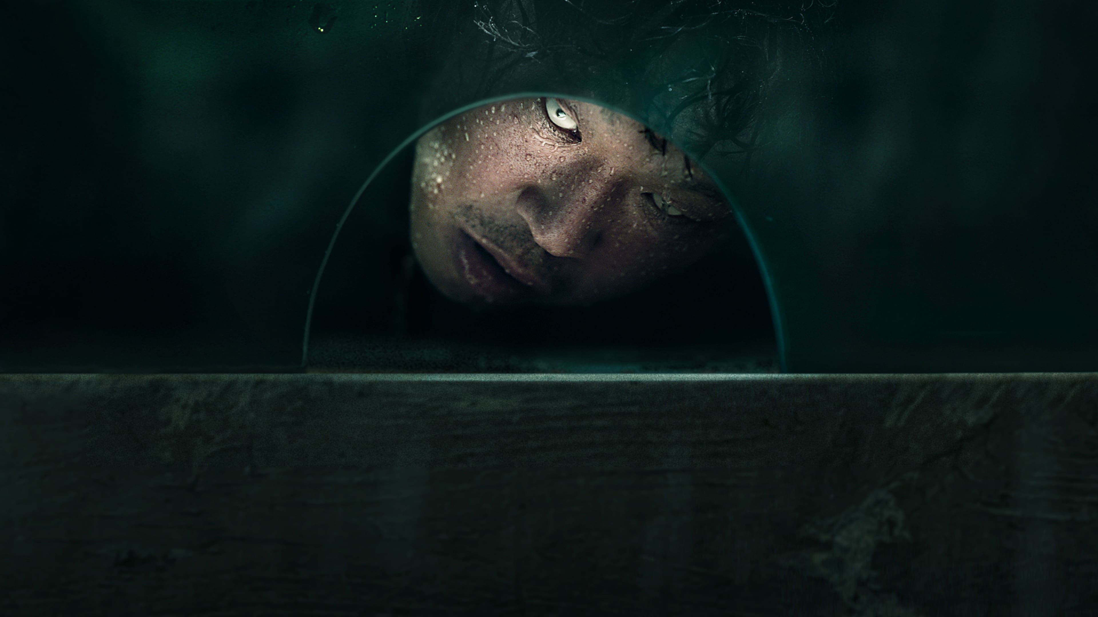 The 8th Night Poster