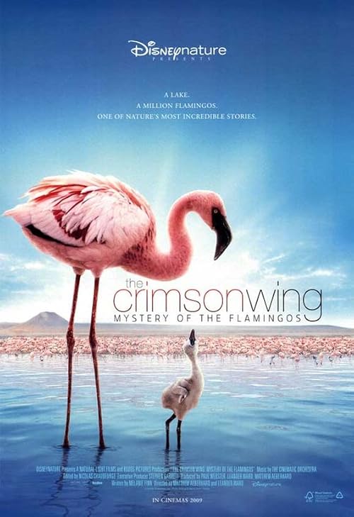 The Crimson Wing: Mystery of the Flamingos movie poster