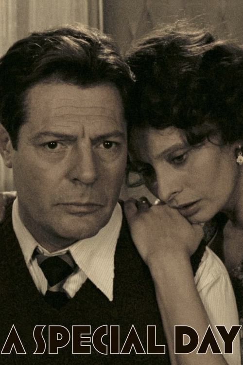 A Special Day movie poster