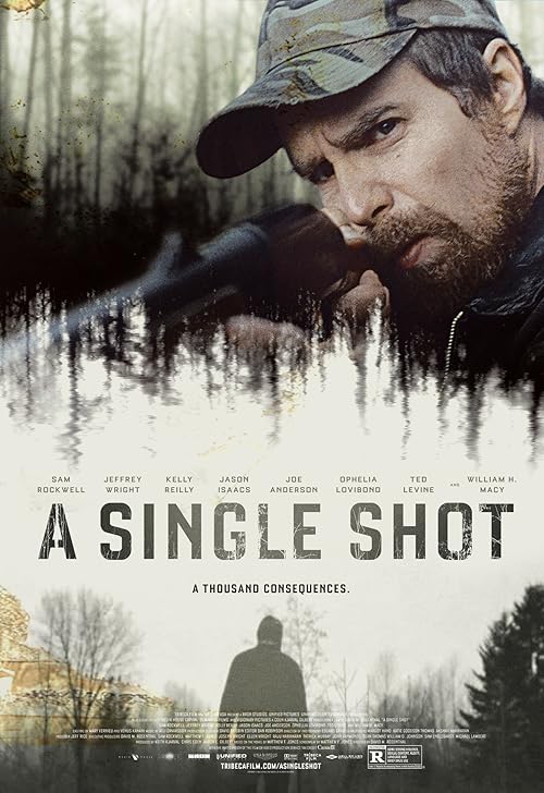 A Single Shot movie poster