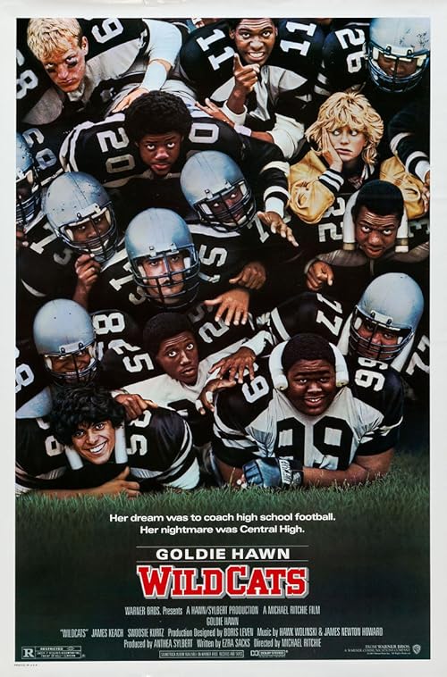 Wildcats movie poster
