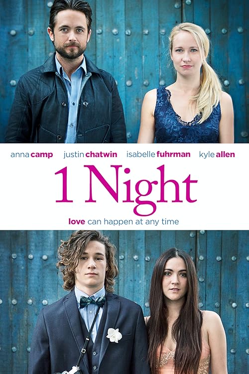 1 Night movie poster