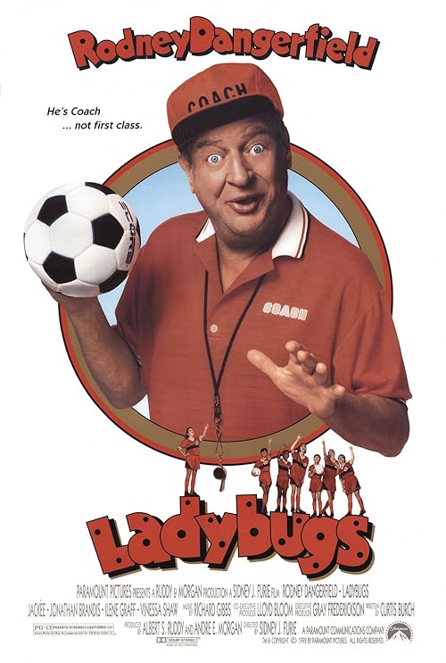 Ladybugs movie poster
