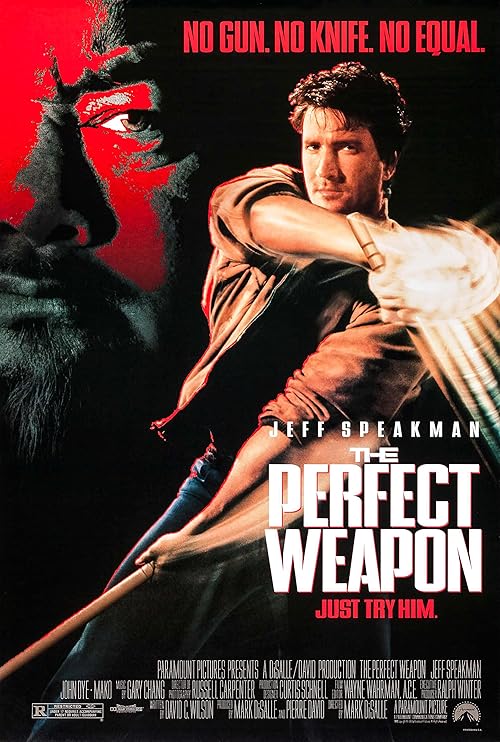 The Perfect Weapon movie poster