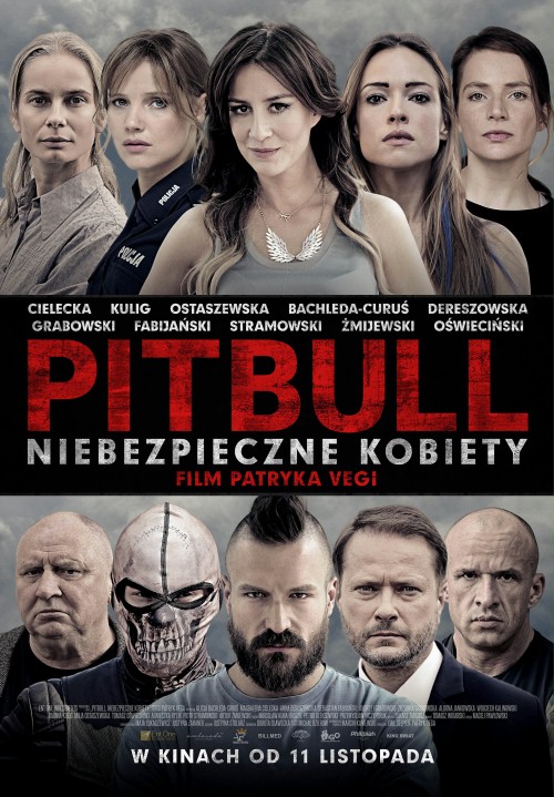 Pitbull: Tough Women movie poster