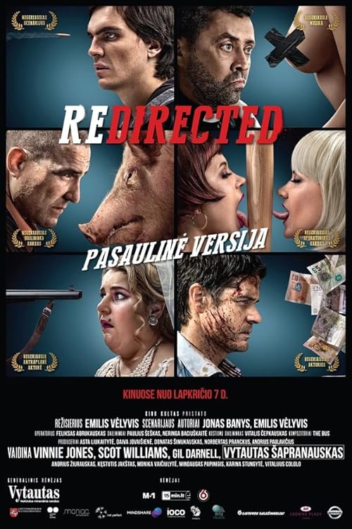 Redirected movie poster