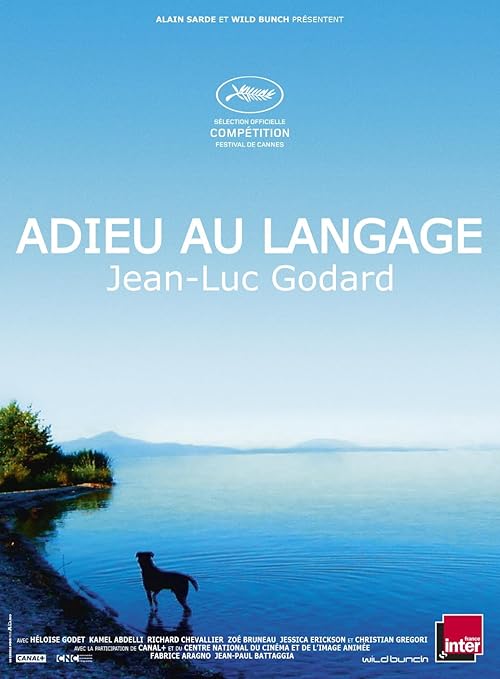 Goodbye to Language movie poster