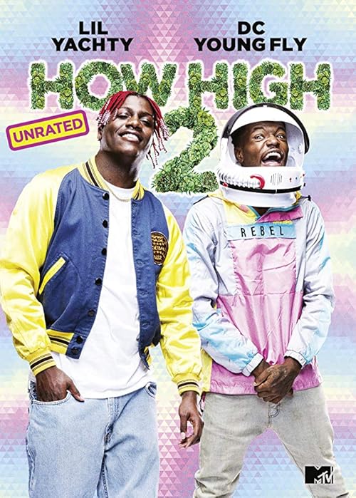 How High 2 movie poster