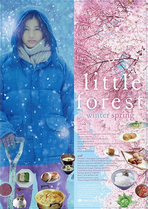 Little Forest: Winter/Spring movie poster