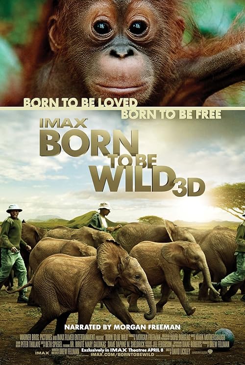 Born to Be Wild movie poster